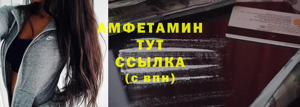 дмт Нягань