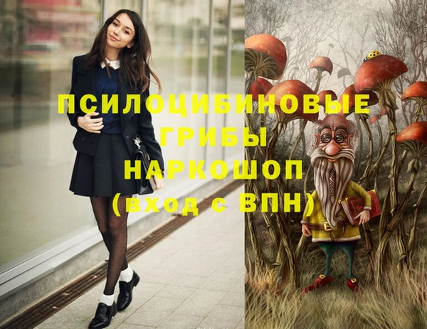 a pvp Кострома