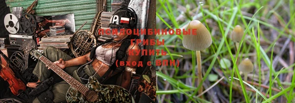 мяу мяу мука Новодвинск
