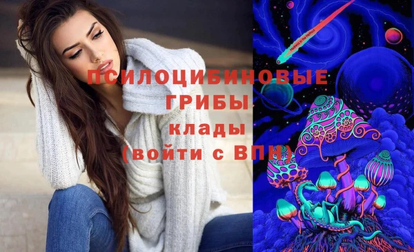 дмт Нягань