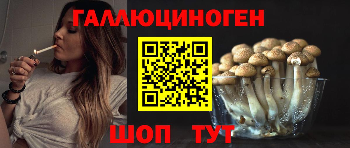 Псилоцибиновые грибы мухоморы Отрадный