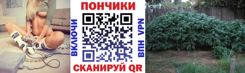 Бошки марихуана MAZAR купить наркотик Отрадный